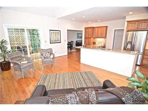 19238 Dutch Iris Ln, Cornelius, NC 28031 photo 2