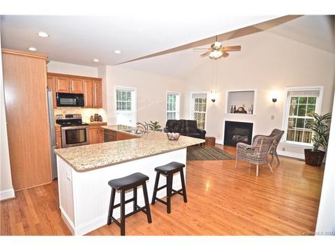 19238 Dutch Iris Ln, Cornelius, NC 28031 photo 5