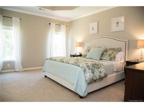 1374 Secret Path Dr, Fort Mill, SC 29708 photo 20