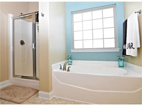 7211 Ogden Pl, Denver, NC 28037 photo 13