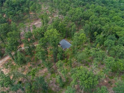 239 Aster Ln, Tryon, NC 28782 photo 3