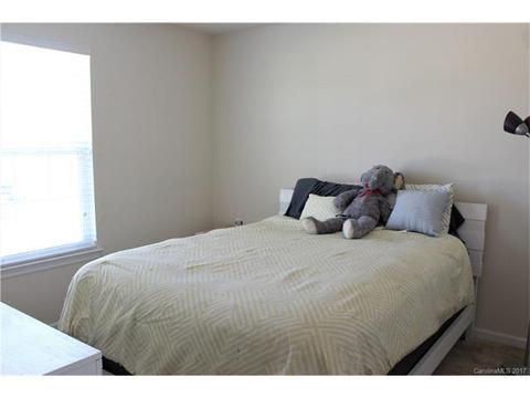 10884 Tailwater St, Davidson, NC 28036 photo 13