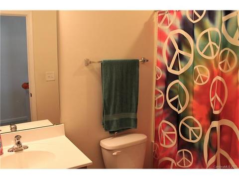 10884 Tailwater St, Davidson, NC 28036 photo 15