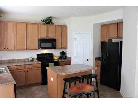 10884 Tailwater St, Davidson, NC 28036 photo 6