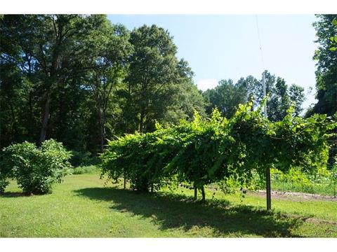 258 Cauthen St, Lancaster, SC 29720 photo 23