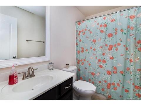 10004 Alabaster Dr, Davidson, NC 28036 photo 18