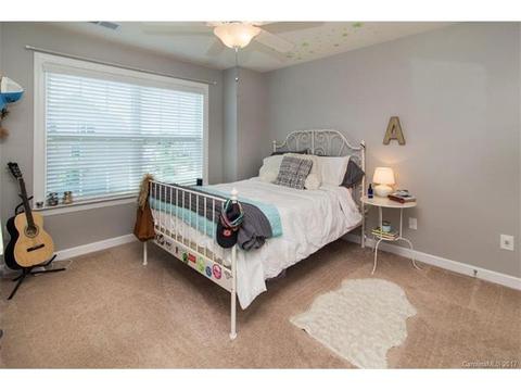 10004 Alabaster Dr, Davidson, NC 28036 photo 20
