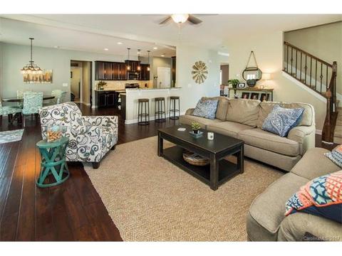 10004 Alabaster Dr, Davidson, NC 28036 photo 7