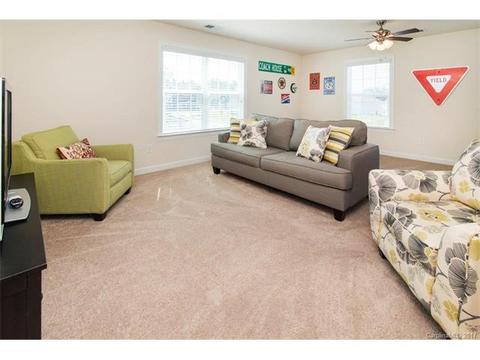 10004 Alabaster Dr, Davidson, NC 28036 photo 17