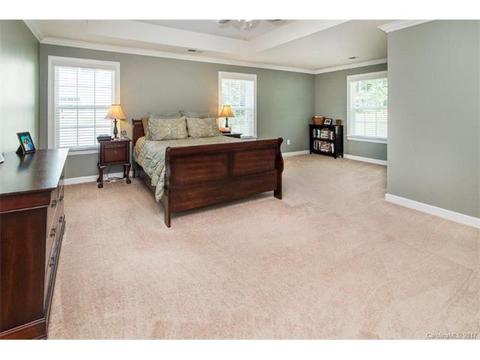 10004 Alabaster Dr, Davidson, NC 28036 photo 15