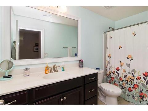 10004 Alabaster Dr, Davidson, NC 28036 photo 21