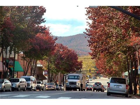193 Deer Run St, Brevard, NC 28712 photo 24