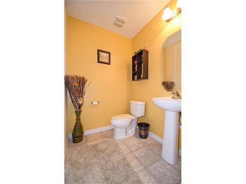 413 Lindpoint Ln, Monroe, NC 28110 photo 13