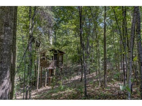 10734 Paxtons Pl, Davidson, NC 28036 photo 19