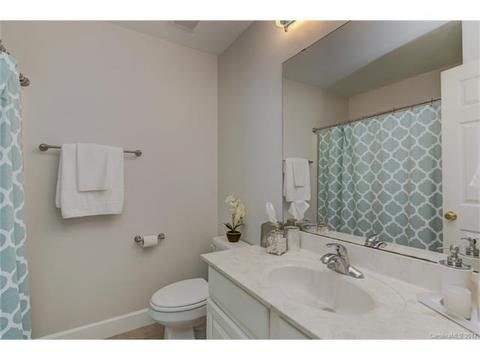 10734 Paxtons Pl, Davidson, NC 28036 photo 17