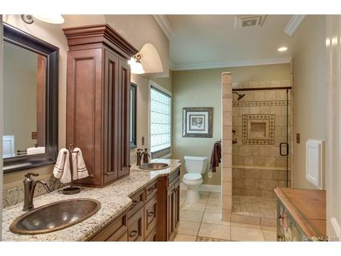 17817 Mesa Range Dr, Cornelius, NC 28031 photo 14