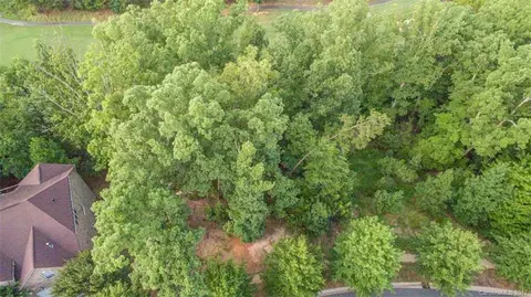 321 Golfview Crest Dr, Tega Cay, SC 29708 photo 3