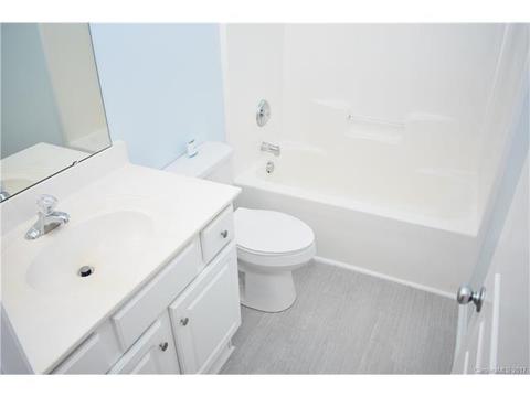 224 Dawn Mist Ln, Fort Mill, SC 29708 photo 11