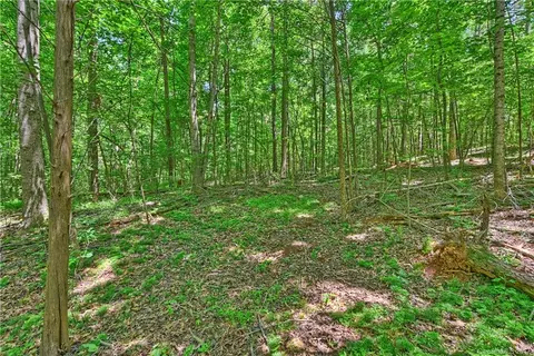 20546 Avoca Ln, Davidson, NC 28036 photo 3