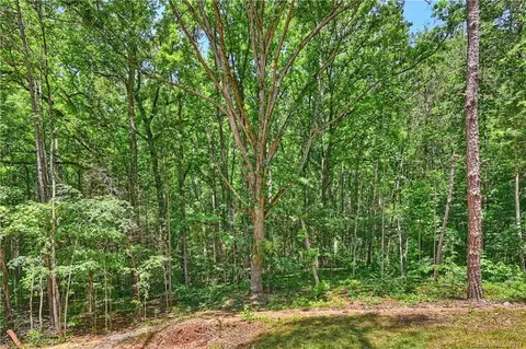 20546 Avoca Ln, Davidson, NC 28036 photo 8