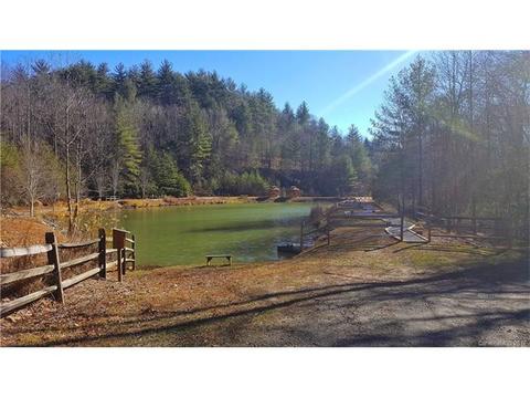 308 Tupelo Ln, Purlear, NC 28665 photo 15