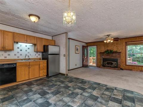 8 Tanglewood Ln, Saluda, NC 28773 photo 7