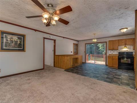 8 Tanglewood Ln, Saluda, NC 28773 photo 4