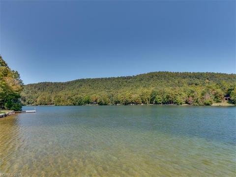 8 Tanglewood Ln, Saluda, NC 28773 photo 24