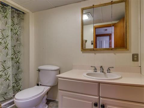 8 Tanglewood Ln, Saluda, NC 28773 photo 18