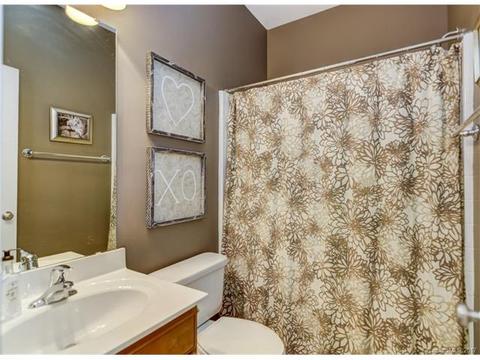 17519 Harbor Walk Dr, Cornelius, NC 28031 photo 16
