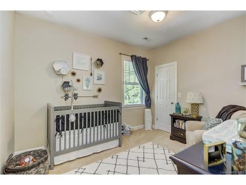 17519 Harbor Walk Dr, Cornelius, NC 28031 photo 14
