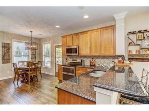 17519 Harbor Walk Dr, Cornelius, NC 28031 photo 8