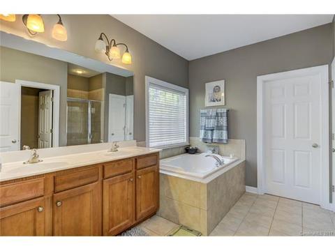 17519 Harbor Walk Dr, Cornelius, NC 28031 photo 12