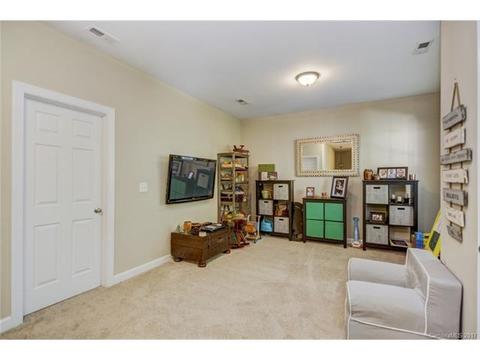 17519 Harbor Walk Dr, Cornelius, NC 28031 photo 17