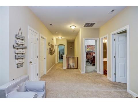 17519 Harbor Walk Dr, Cornelius, NC 28031 photo 18