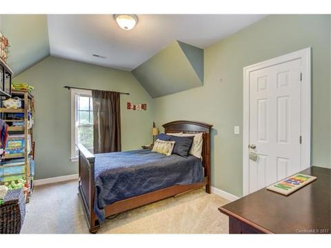 17519 Harbor Walk Dr, Cornelius, NC 28031 photo 15