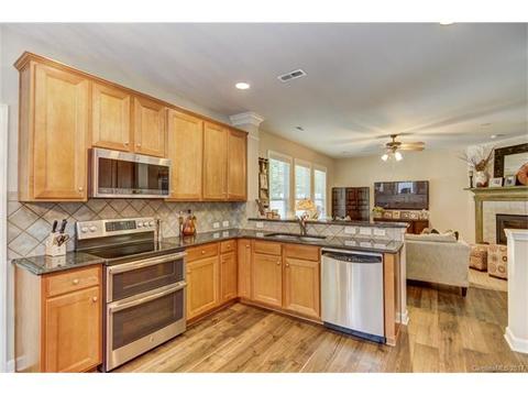 17519 Harbor Walk Dr, Cornelius, NC 28031 photo 7