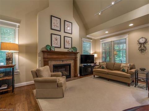 978 Rixhaven Dr, Saluda, NC 28773 photo 2