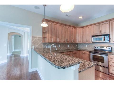 17708 Mesa Range Dr, Cornelius, NC 28031 photo 9