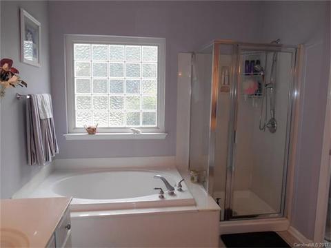 20301 Backcourse Ln, Cornelius, NC 28031 photo 15