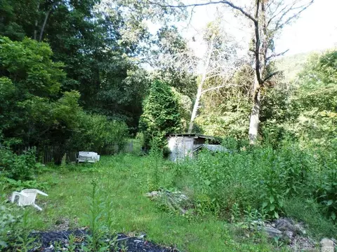 88 Firefly Pl, Clyde, NC 28721 photo 7