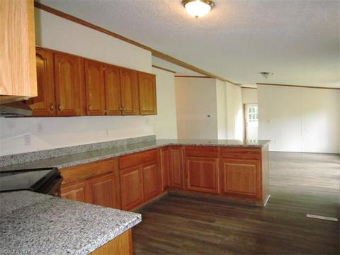 169 Beaverdam Loop Rd, Candler, NC 28715 photo 8