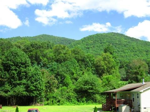 169 Beaverdam Loop Rd, Candler, NC 28715 photo 23