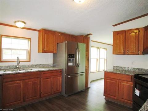 169 Beaverdam Loop Rd, Candler, NC 28715 photo 10