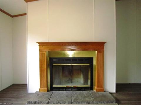 169 Beaverdam Loop Rd, Candler, NC 28715 photo 4