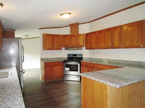 169 Beaverdam Loop Rd, Candler, NC 28715 photo 7