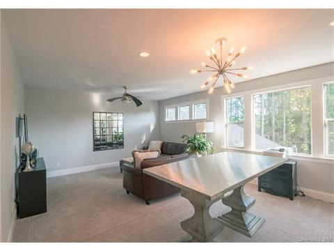 13118 Davidson Park Dr, Davidson, NC 28036 photo 17