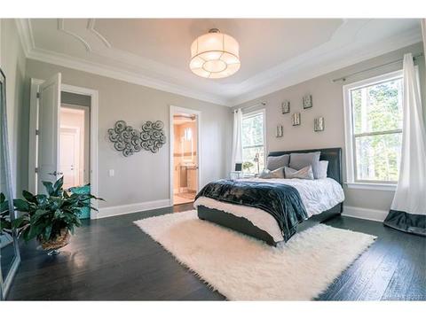13118 Davidson Park Dr, Davidson, NC 28036 photo 13