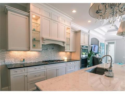 13118 Davidson Park Dr, Davidson, NC 28036 photo 8
