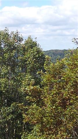 101 Sarvis Ln, Mars Hill, NC 28754 photo 9